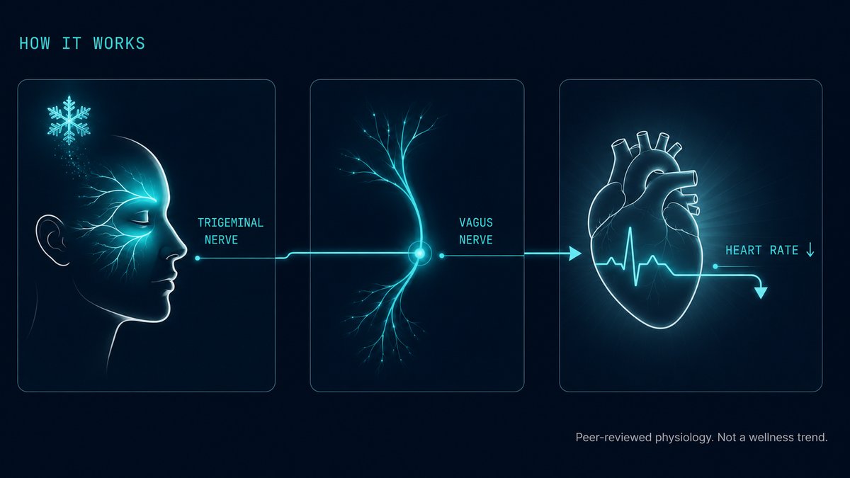 How it works: cold on the trigeminal nerve signals the vagus nerve, which lowers heart rate. Peer-reviewed physiology, not a wellness trend.